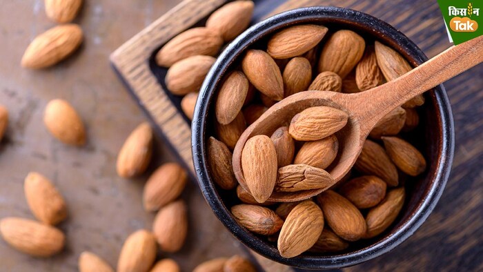 बादाम का प्रतीकात्मक फोटो.