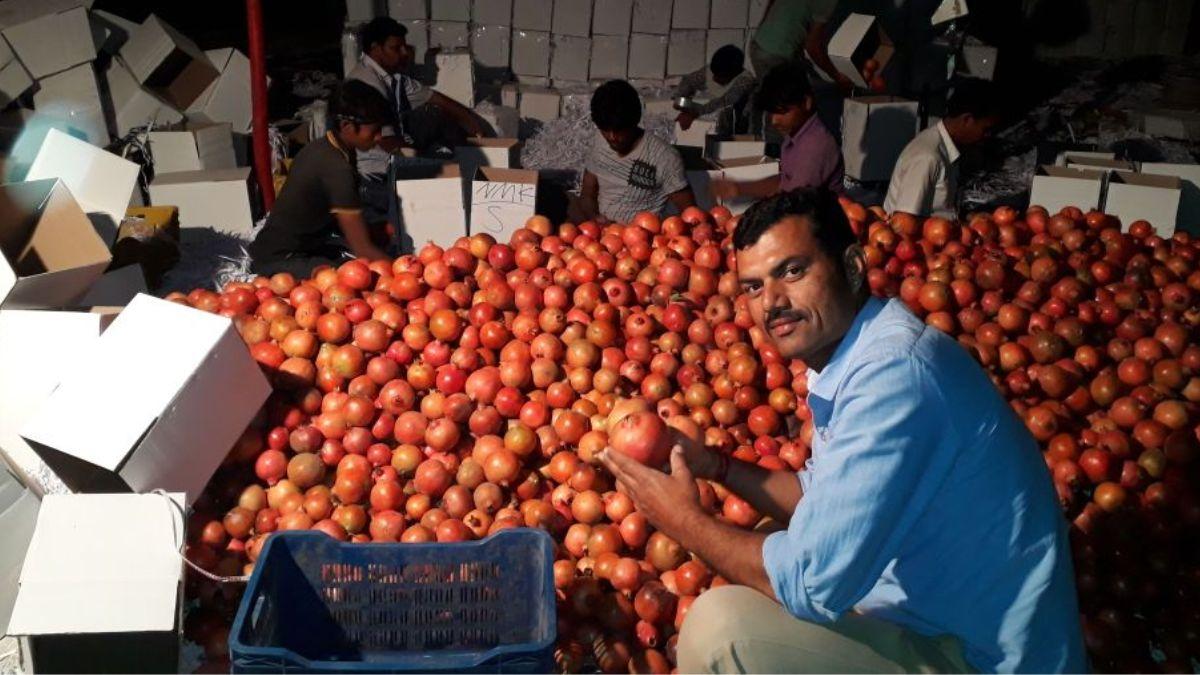 Success Story: रेडीमेड कपड़ों का बिजनेस छोड़ खेत में उगाए कई तरह के फल, देखते-देखते बदल गई ज‍िंदगी