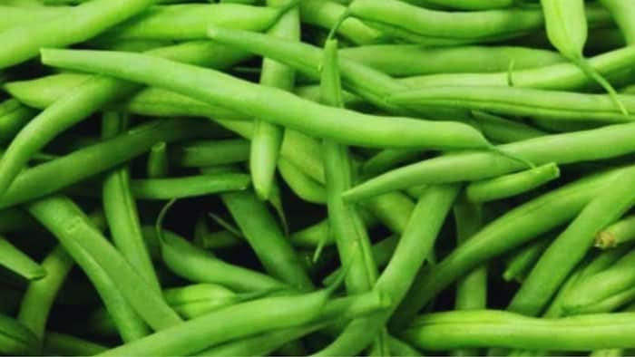 जानिए बीन्स की खेती के बारे में