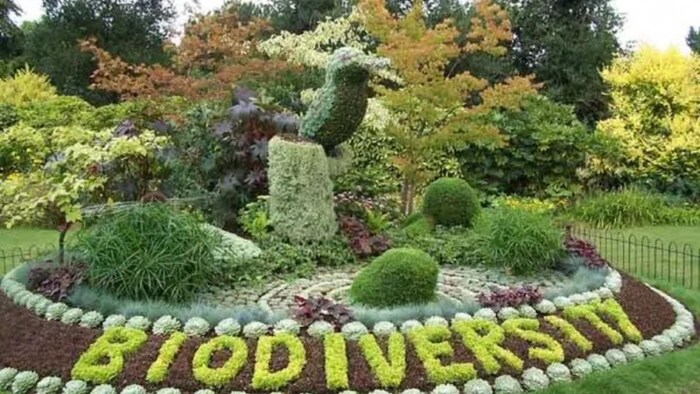 बिजनौर में स्थापित होगा जैव विविधता पार्क