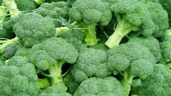 जानिए ब्रोकली की खेती के फायदों के बारे में