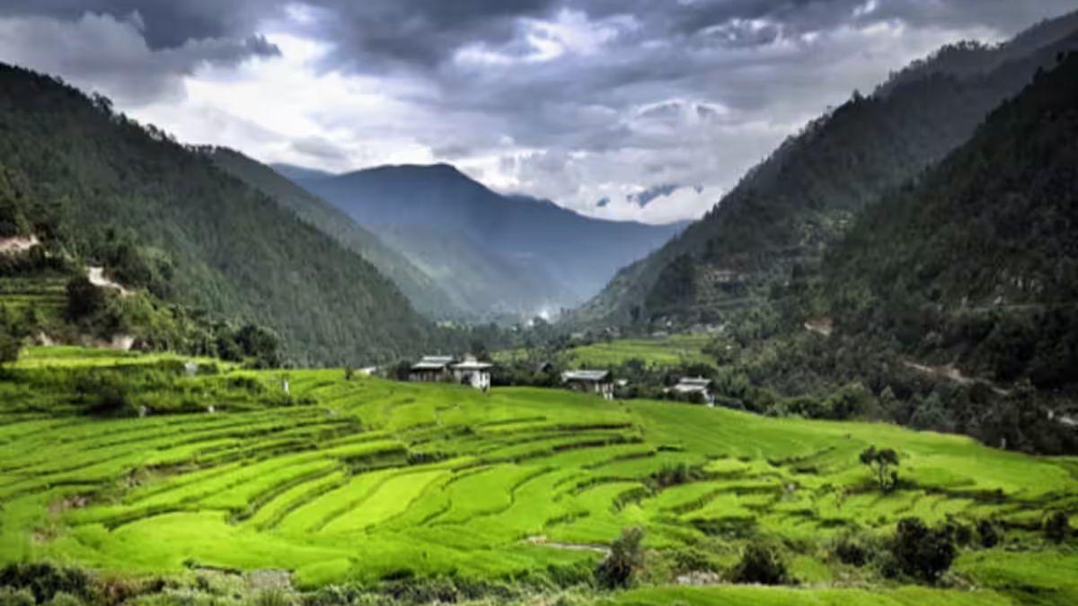 क्या है बुग्याल और इसकी विशेषता?