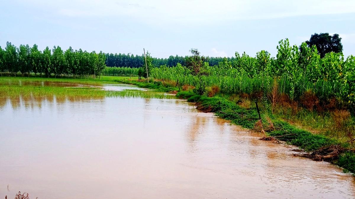 इस तारीख से पहले किसानों के खाते में आ जाएगी फसल नुकसान के मुआवजे की रकम