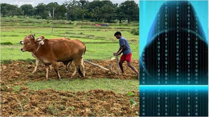 साइबर ठगों के निशाने पर झारखंड के किसान फोटोः किसान तक