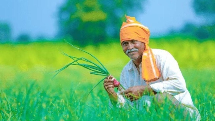 खेत में काम करते किसान का प्रतीकात्मक फोटो.