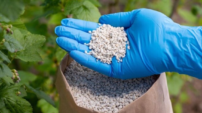 अब पारंपरिक खादों की तुलना में स्पेशलिटी खादों की मांग अधिक है