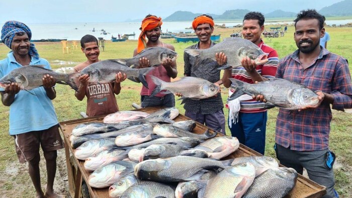 छत्तीसगढ़ में मछली पालन को बढ़ावा देने का मिलने लगा सुखद परिणाम, फोटो: साभार, छत्तीसगढ़ सरकार