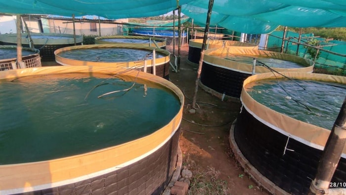 छत्तीसगढ़ के मछली पालक किसान सीजनल पाेंड में कर रहे मछली के बीज का उत्पादन, फोटो: साभार, छत्तीसगढ़ सरकार