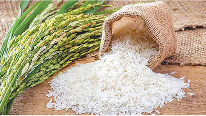 फोर्टीफाइड चावल