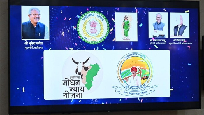 छत्तीसगढ़ में गोधन न्याय योजना ने खोले किसानों के लिए आय के अतिरिक्त स्रोत, फोटो: छत्तीसगढ़ सरकार