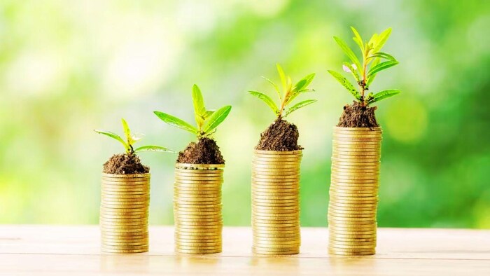 ग्रीन कार्ड के जरिए कमा सकते हैं पैसे