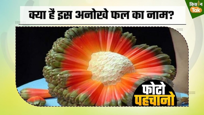 अनानास की तरह दिखता है ये फल