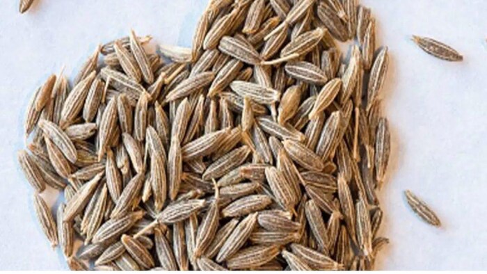 जीरे की कीमतों में भारी उछाल, सांकेतिक तस्वीर