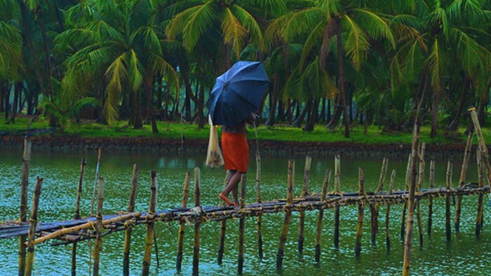 केरल में कम वर्षा के कारण राज्य में गंभीर सूखे का खतरा: Courtesy: Kerala Tourism