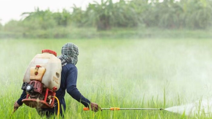 पंजाब सरकार ने 10 कीटनाशकों के प्रयोग पर लगाया बैन-फोटो फ्रिपिक