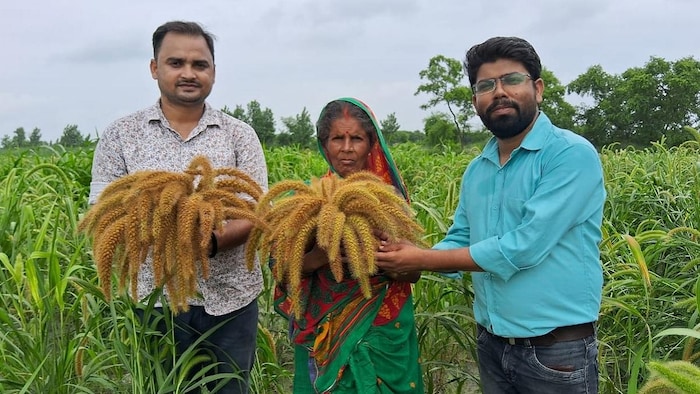 लंबे समय बाद किसानों के खेतों में लौट रहा कौनी अनाज (Photo-Kisan Tak).