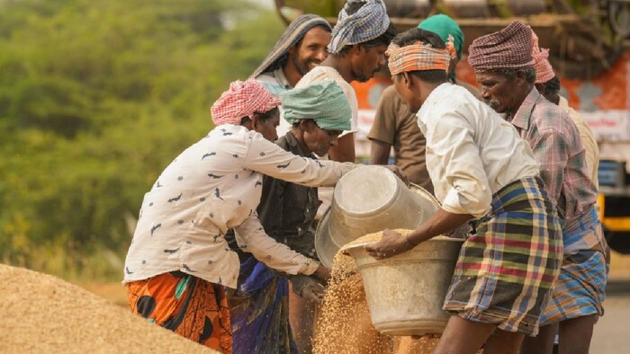 भारत ने चावल के निर्यात पर प्रतिबंध लगा दिया है