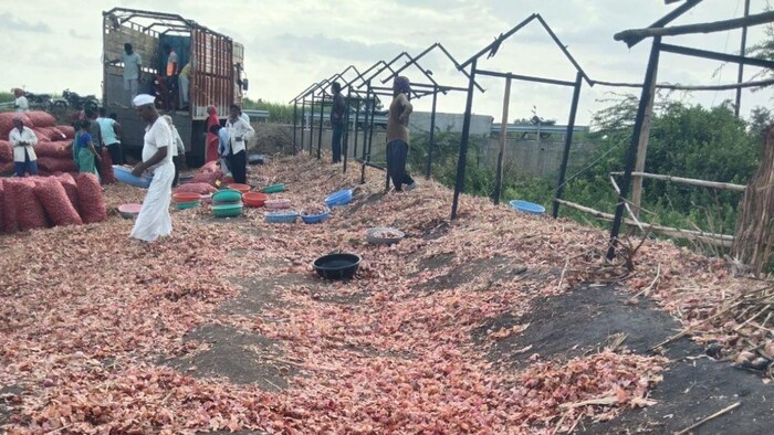 किसान का तीन क्विंटल प्याज जलकर हुआ खाक( photo kisan tak)