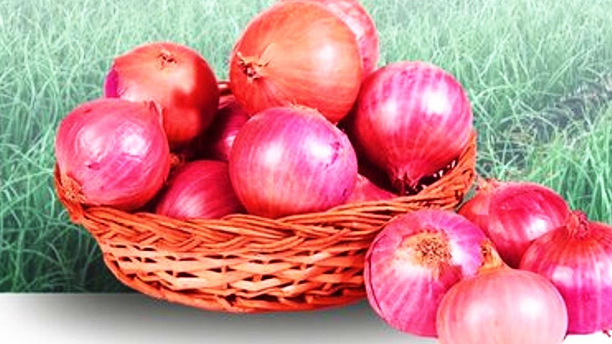 महाराष्ट्र की मंडियों में कितना है प्याज का दाम (Photo-NAFED).
