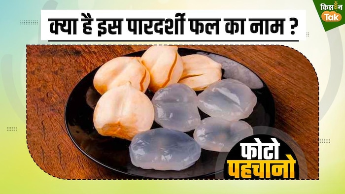 क्या है इस खूबसूरत फल का नाम?