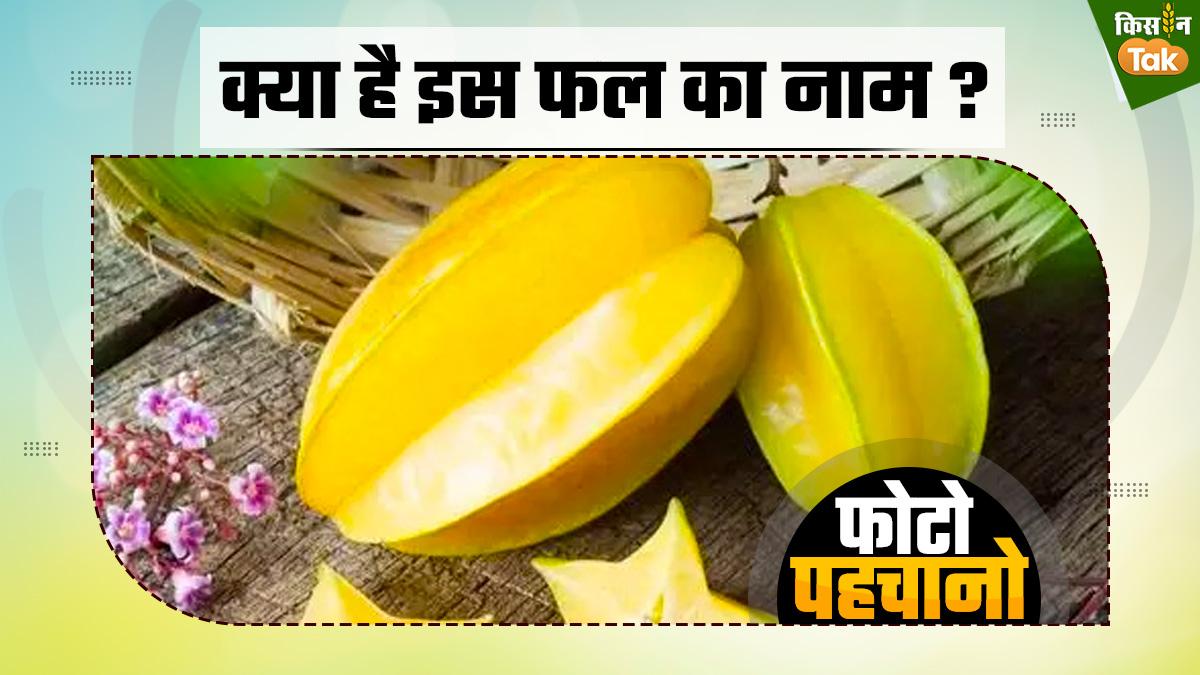 क्या है इस फल का नाम? GFX: संदीप भारद्वाज