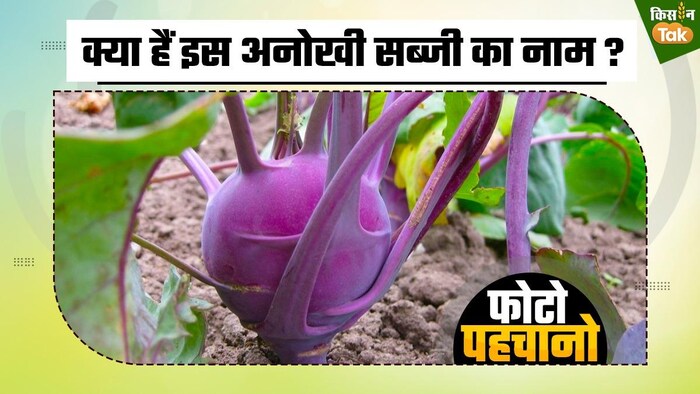 क्या है इस अनोखी सब्जी का नाम?