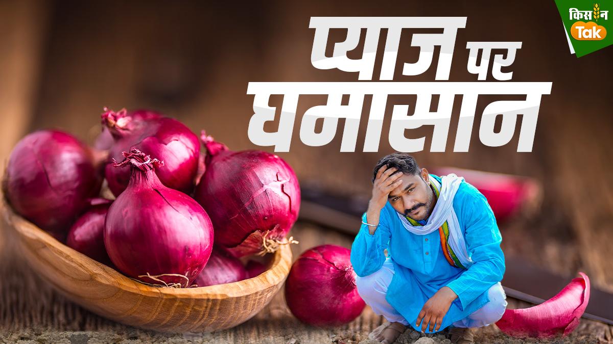 नेफेड खरीदेगी 'महंगा' प्याज... फ‍िर भी इन 5 वजहाें से नाराज हैं क‍िसान  