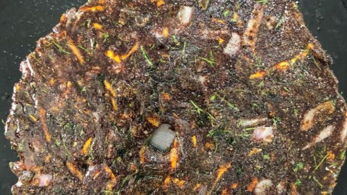 रागी की रोटी फोटोः किसान तक