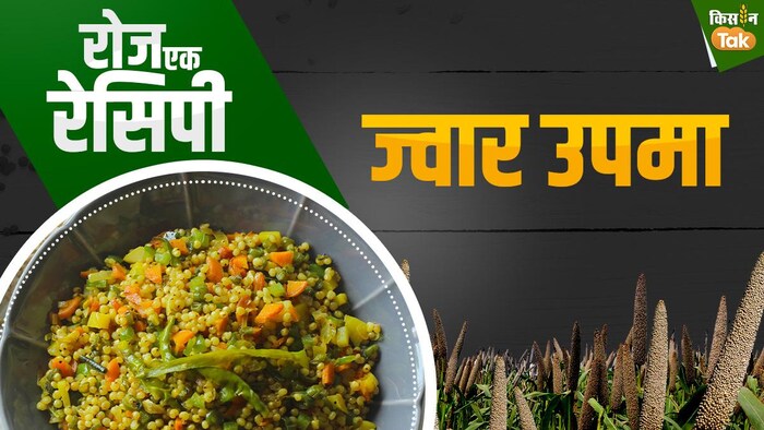 Millet Recipe: अब मिनटों में बनाएं ज्वार उपमा: GFX- संदीप भारद्वाज