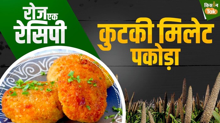 अब मॉनसून में खाएं मजेदार कुटकी पकौड़ा