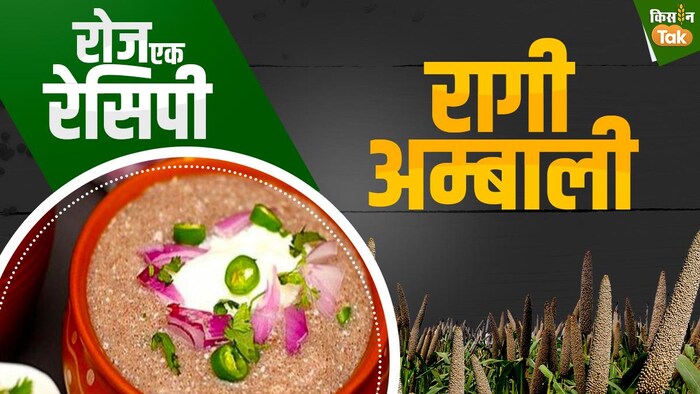 जानें क्या है रागी अम्बाली?