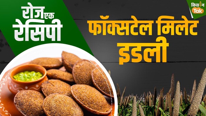 आसानी से बनाएं और खाएं फॉक्सटेल मिलेट