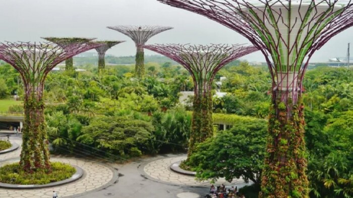 अयोध्या के पार्कों में दूधिया रोशनी बिखेरेंगे सोलर ट्री