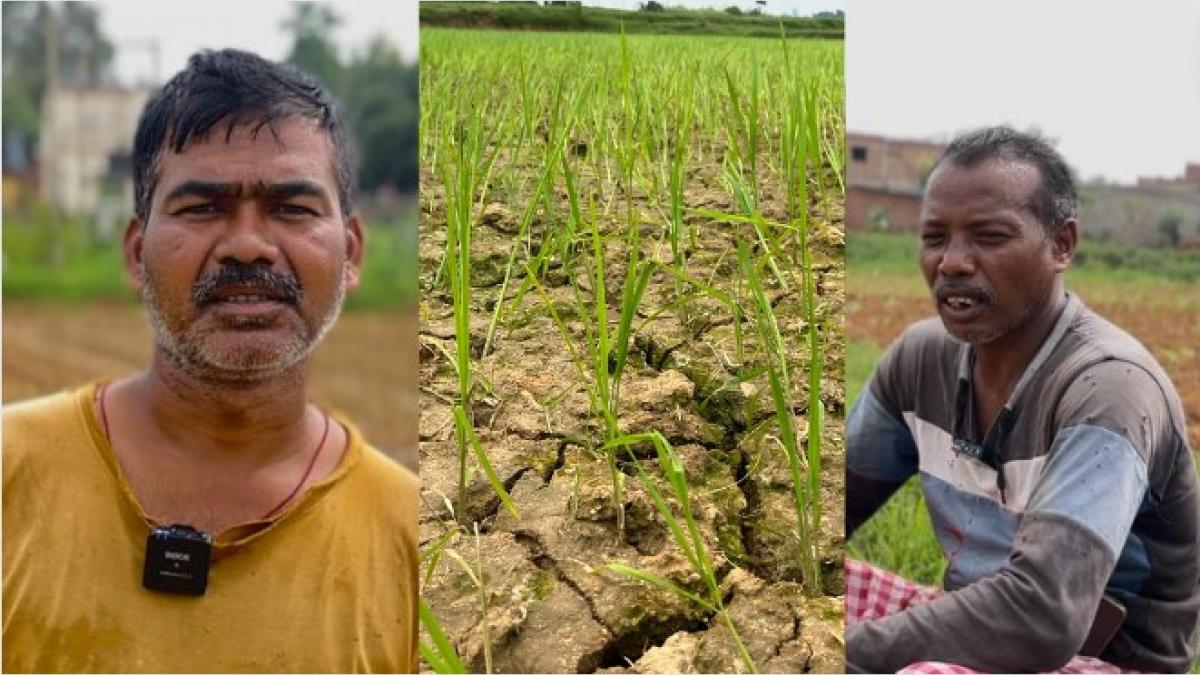 सूखे से परेशान झारखंड के किसान फोटोः किसान तक