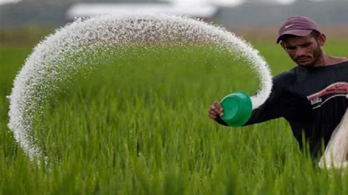 यूरिया गोल्ड क्या है?, सांकेतिक तस्वीर, फोटो साभार: आजतक