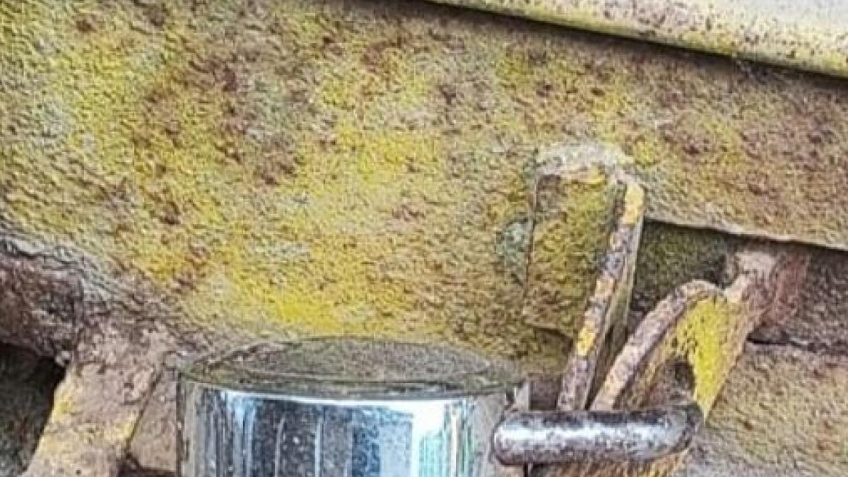मध्य प्रदेश की 5000 राशन दुकानों पर पड़े ताले, गेहूं-चावल से लेकर यूरिया खाद तक की हुई किल्लत