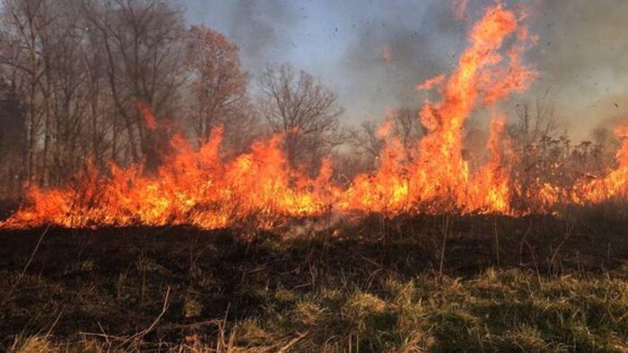 अब यूपी में अपराध है पराली जलाना, पकड़े जाने पर देना होगा जुर्माना