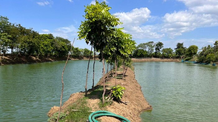 बिहार सरकार ने मछली पालन के लिए सब्सिडी स्कीम शुरू की है
