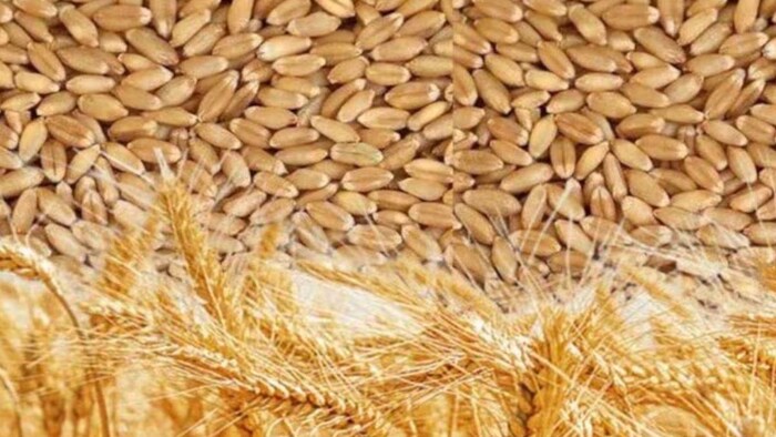 कहां गया देश का 400 लाख टन गेहूं