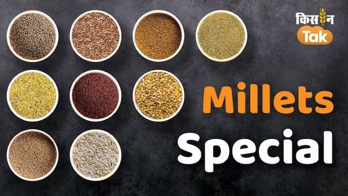 MP में बीज खरीद पर 80 परसेंट सब्सिडी दे रही सरकार