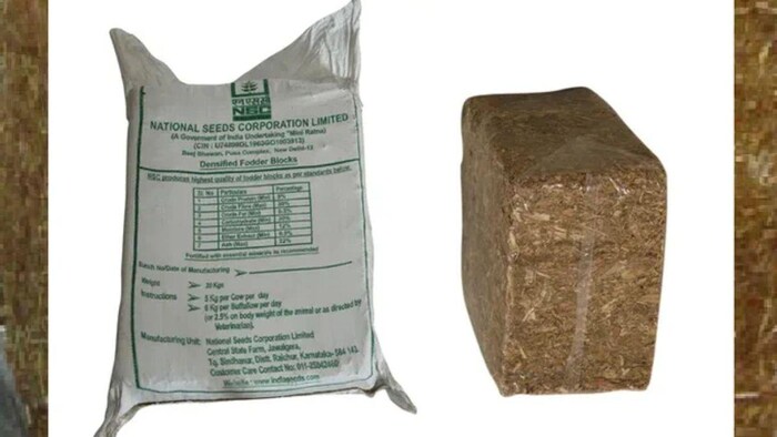 राष्ट्रीय बीज निगम ने पशुपालकों के लिए एक नए तरीके का चारा लेकर आया है