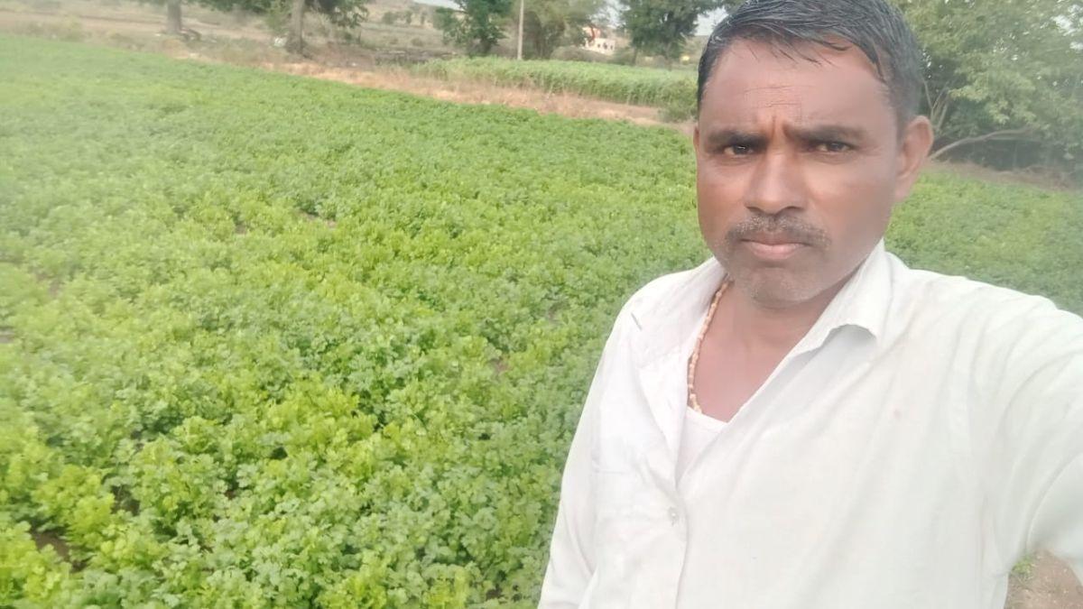 ऑनलाइन इतना महंगा बिक रहा है धन‍िया, तो स‍िर्फ 1 रुपये क‍िलो का भाव क्यों पा रहा क‍िसान? 