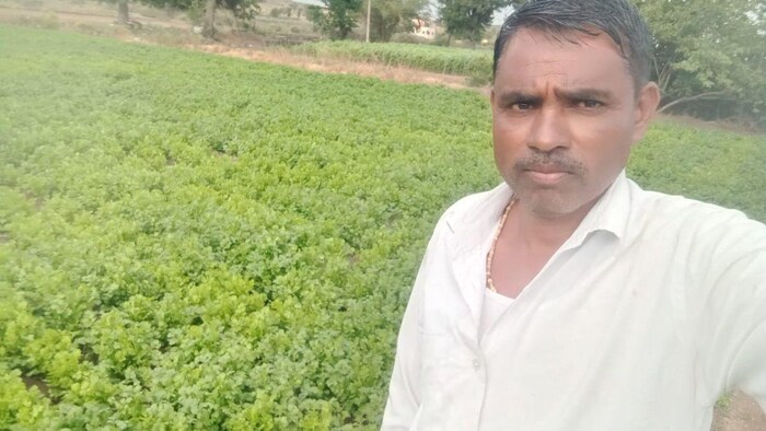 धनिया का कम भाव मिलने से किसान हैं परेशान ( photo kisan tak)