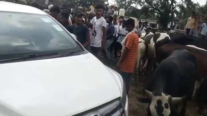 बरेली में पशुओं के इलाज के लिए 9.14 करोड़ रुपये की लागत से पॉली क्लीनिक बनना है.