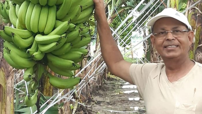 रामशरण ने बताया कि रोजाना 100-150 लोगों को रोजगार दे रहे है.