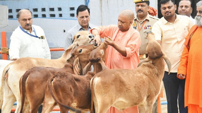 मुख्यमंत्री योगी आदित्यनाथ ने कहा कि समाज के सहयोग से ही सफल होगा निराश्रित गो-वंश संरक्षण का प्रयास (Photo Source: Facebook)