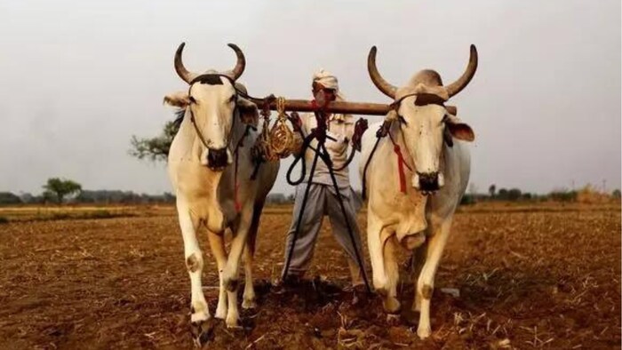शाही ने बैंकरों को कहा कि जनपद स्तर पर बीमा कंपनियों के कार्यालय खोले जाएं.