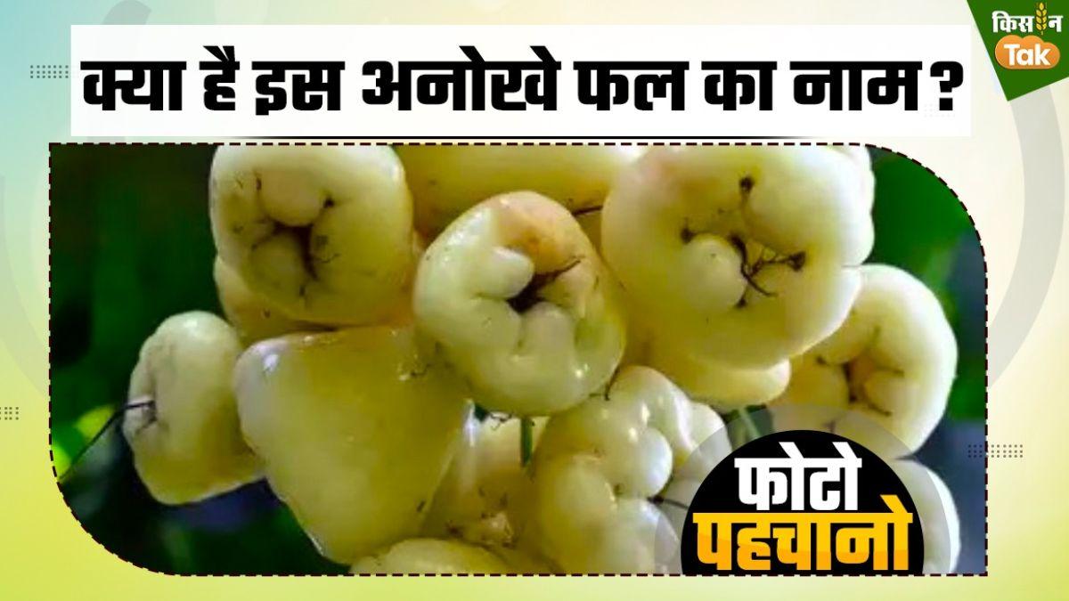 क्या आपने सफेद जामुन देखा या खाया है