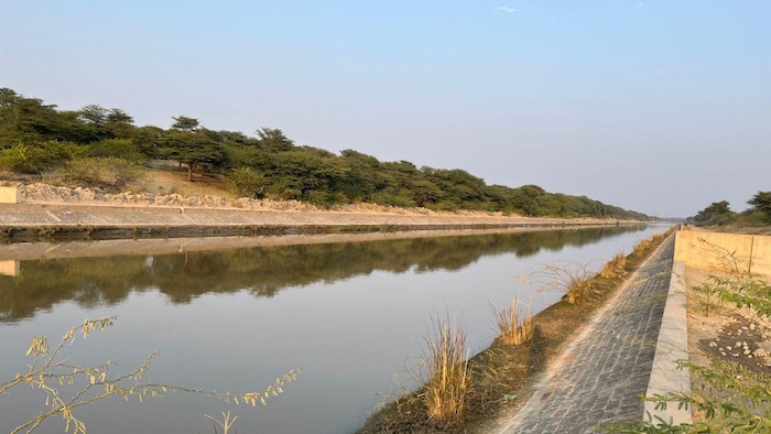 गंगनहर कैनाल में पंजाब ने पानी बंद कर दिया है. फाइल फोटो- Madhav Sharma