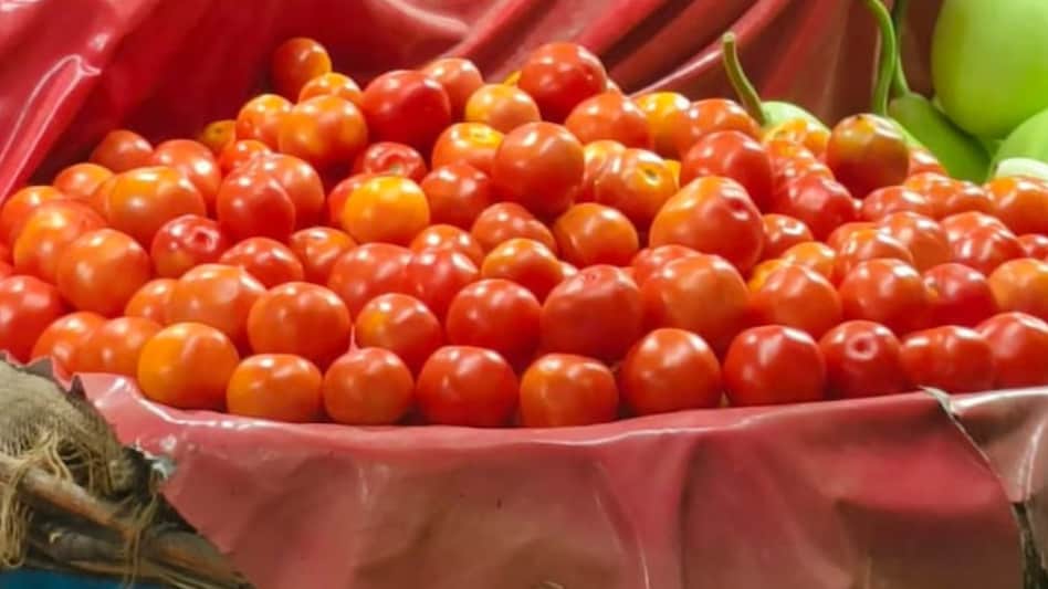 Tomato Price: यूपी के इस जिले में 65 रुपये KG बिक रहा है टमाटर, व्यापारियों ने बताई सस्ता होने की वजह Tomato Price: यूपी के इस जिले में 65 रुपये KG बिक रहा है टमाटर, व्यापारियों ने बताई सस्ता होने की वजह